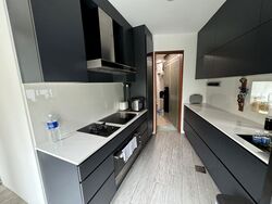 The Edge On Cairnhill (D9), Condominium #611915631
